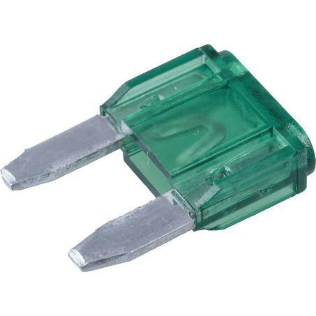 30 Amp Mini Blade Fuse (green) X 100