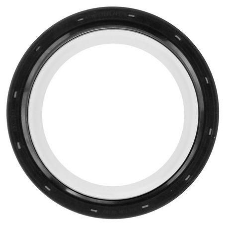 Oil Seal