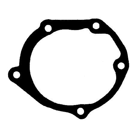 Water Pump Gasket