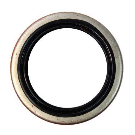 Oil Seal