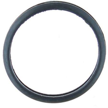 Thermostat Gasket